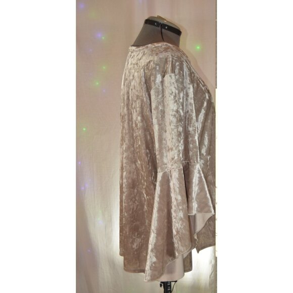 Pebble & Stone Shimmery Cream Stretch Velvet Top size 2X - Picture 2 of 4